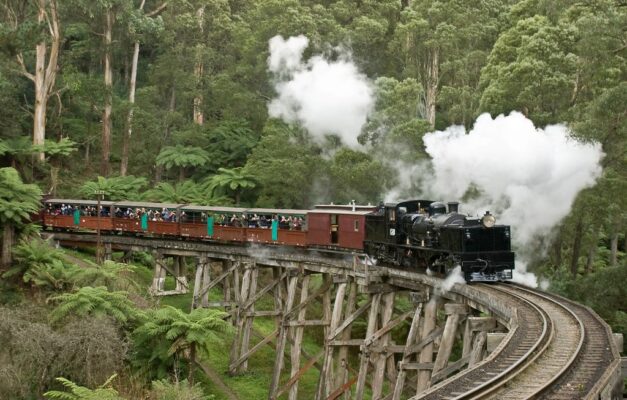 Trên con tàu hơi nước cổ Puffing Billy, check-in cầu gỗ Monbulk Creek giữa rừng xanh Yarra Valley, du khách dạo bước trên cây cầu gỗ nhỏ bắc qua con suối trong lành tại Australia