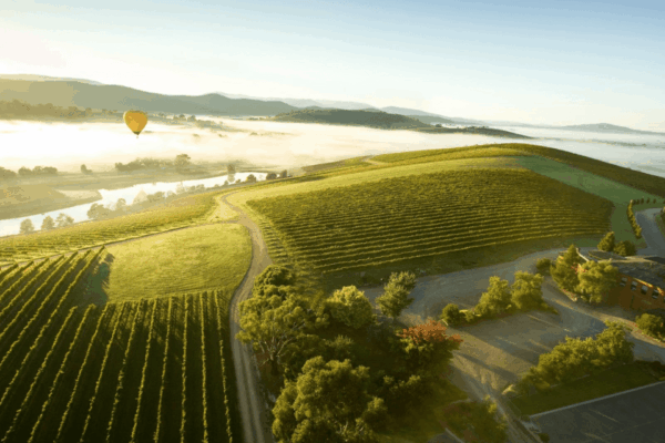 Yarra Valley vineyard landscape with wine tasting and chocolate experience in Victoria, Melbourne, Australia