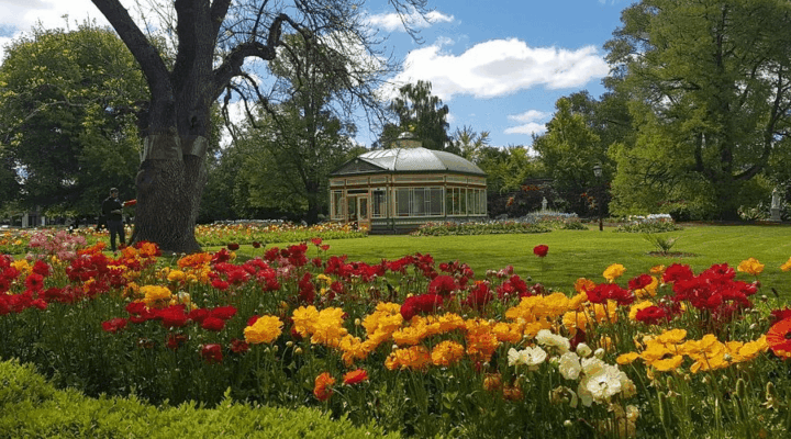 Ballarat Botanical Gardens, Melbourne, Victoria historic park greenery Australia. Khám